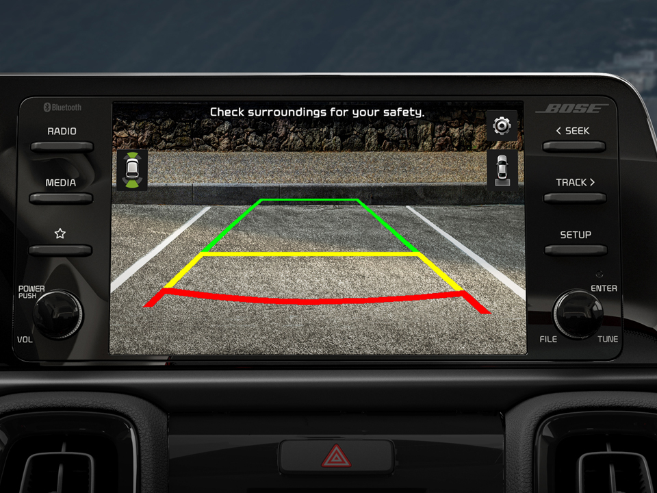 Rear View Monitor (RVM)