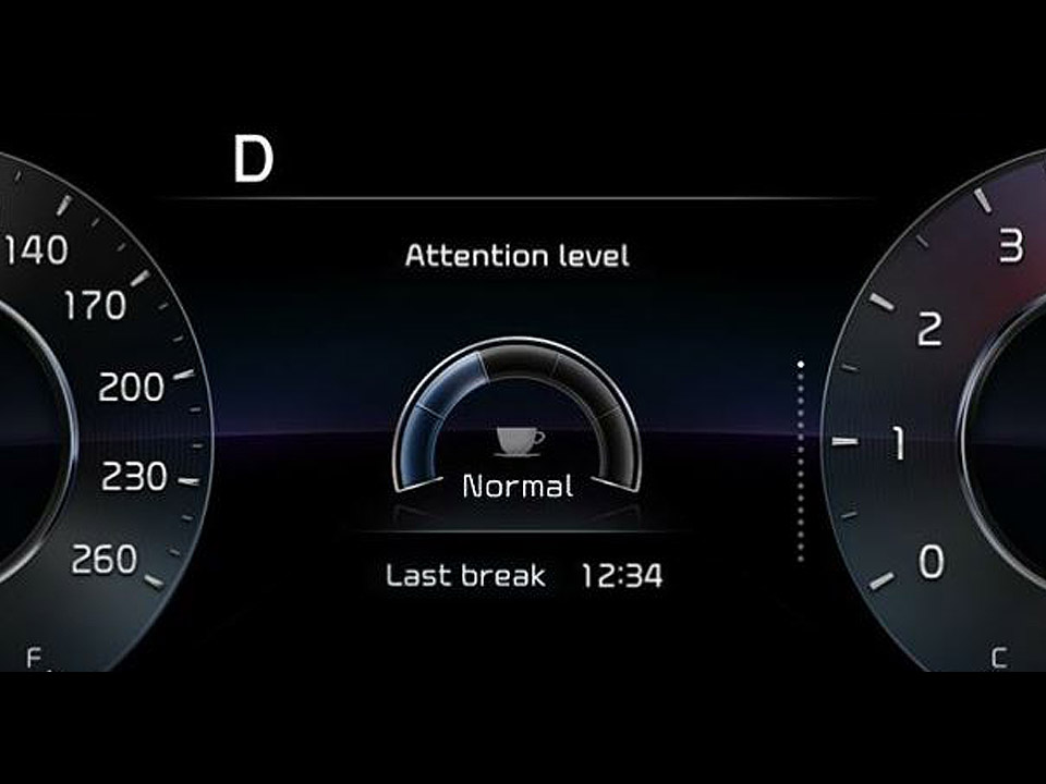 Driver Attention Warning (DAW)<br />